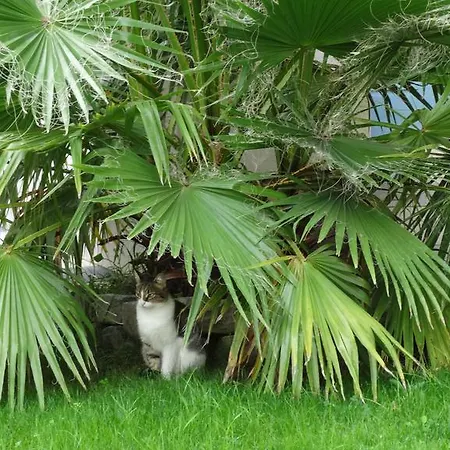 Rvhotels Port Canigo